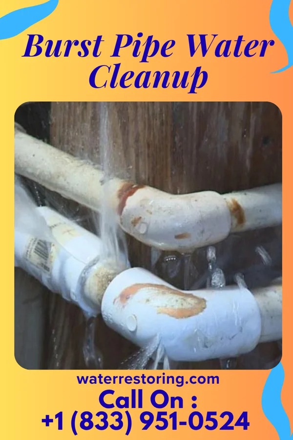 Burst Pipe Water Cleanup in Brookford, NC