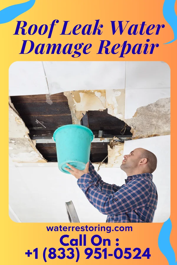 Roof Leak Water Damage Repair in Brookford, NC
