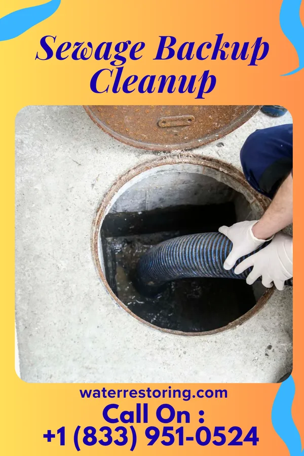 Sewage Backup Cleanup in Brookford, NC