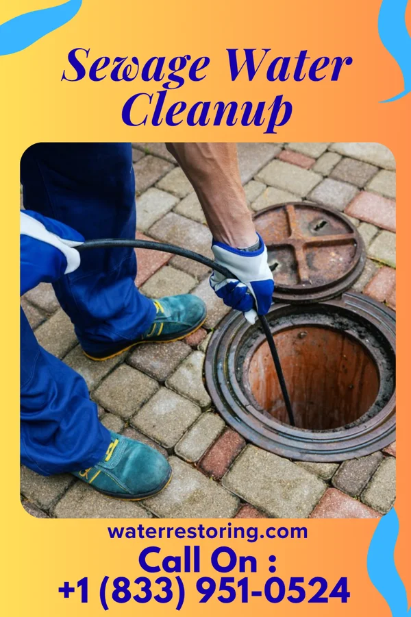 Sewage Water Cleanup in Brookford, NC